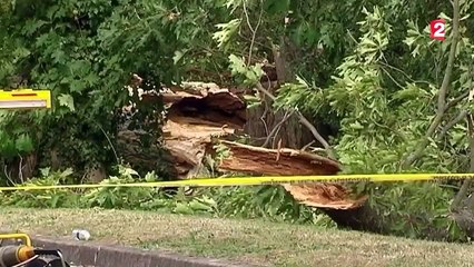 Les intempéries ont tué trois personnes