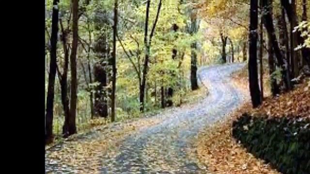 Elif GÜREŞÇİ ÇİFTÇİOĞLU Âvâre Gönül Yine Sensiz Hicrâna Daldı