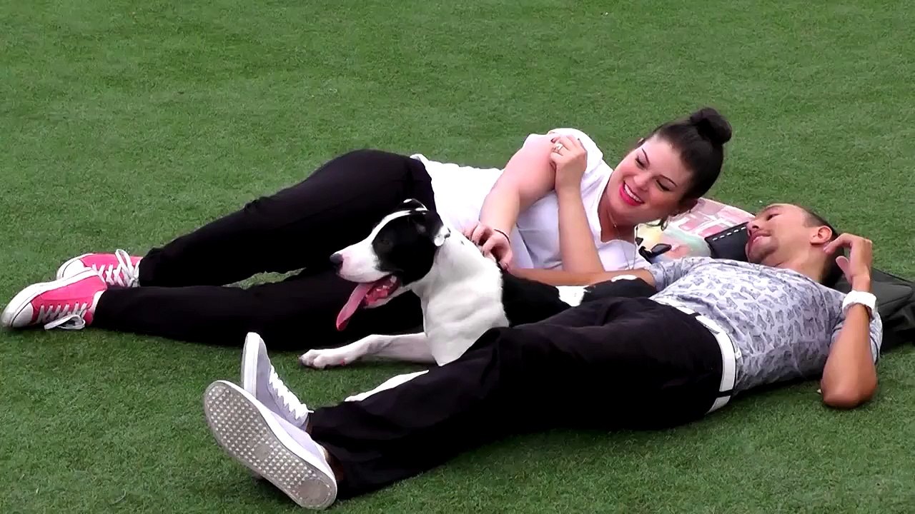 Picnic-Party-1---MallTopic