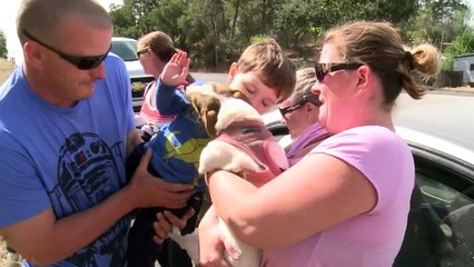 O resgate da amizade