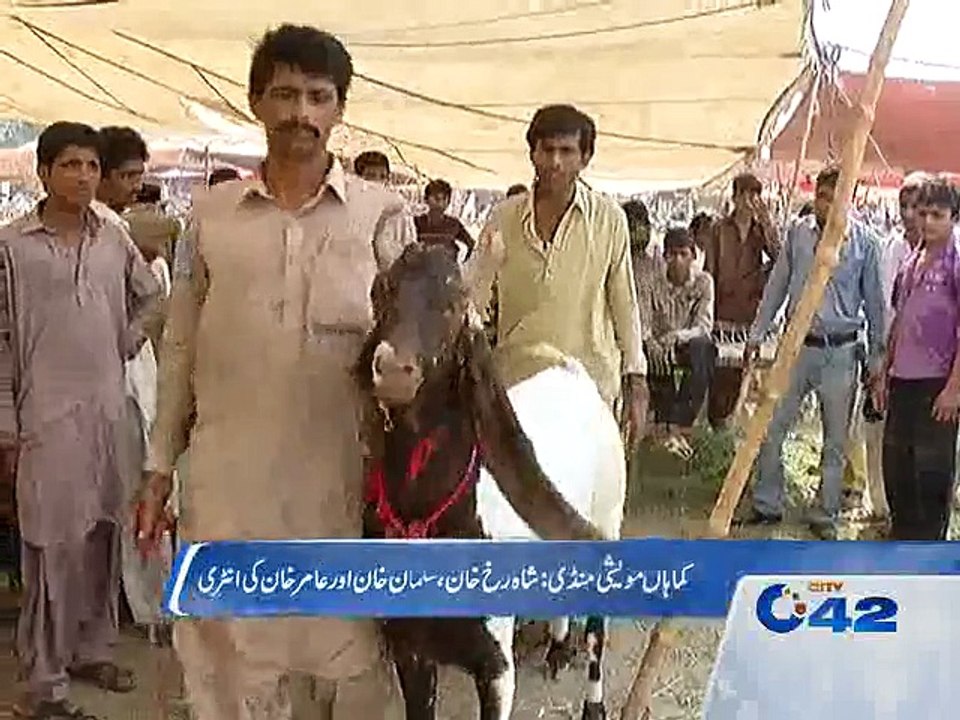 3 Khans in Bakar Mandi