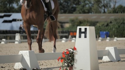 GRAND NATIONAL 2015 - AUVERS Dressage n5