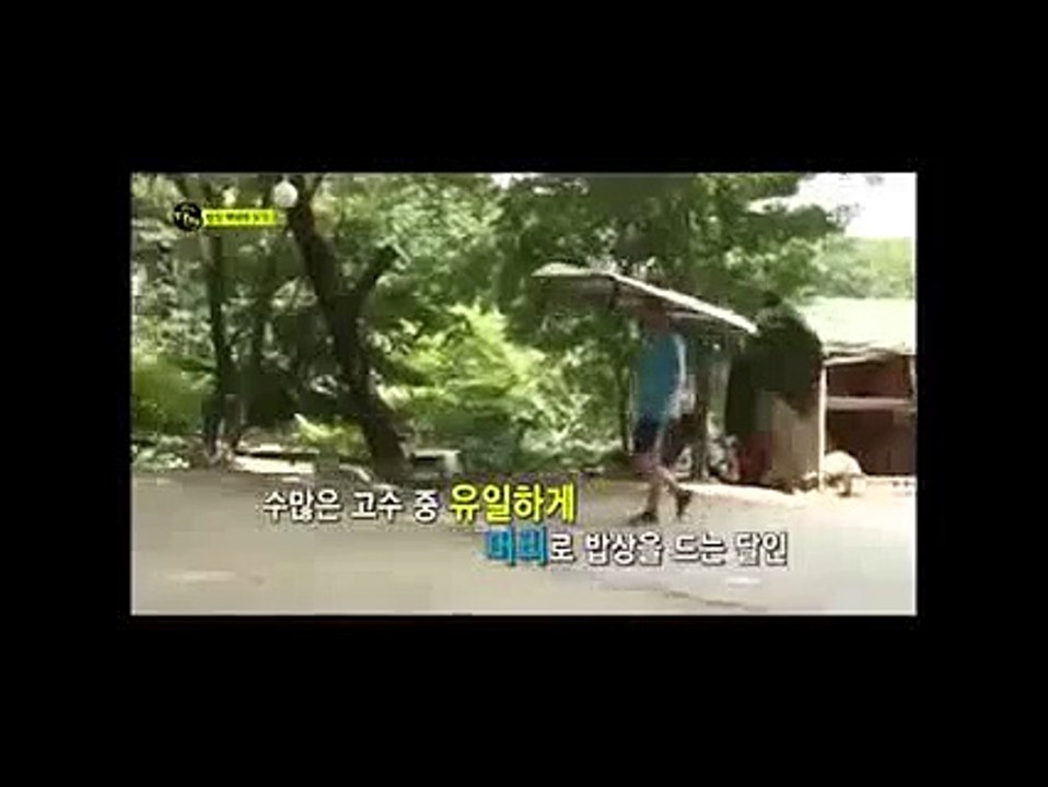 Crazy Delivery in Korea