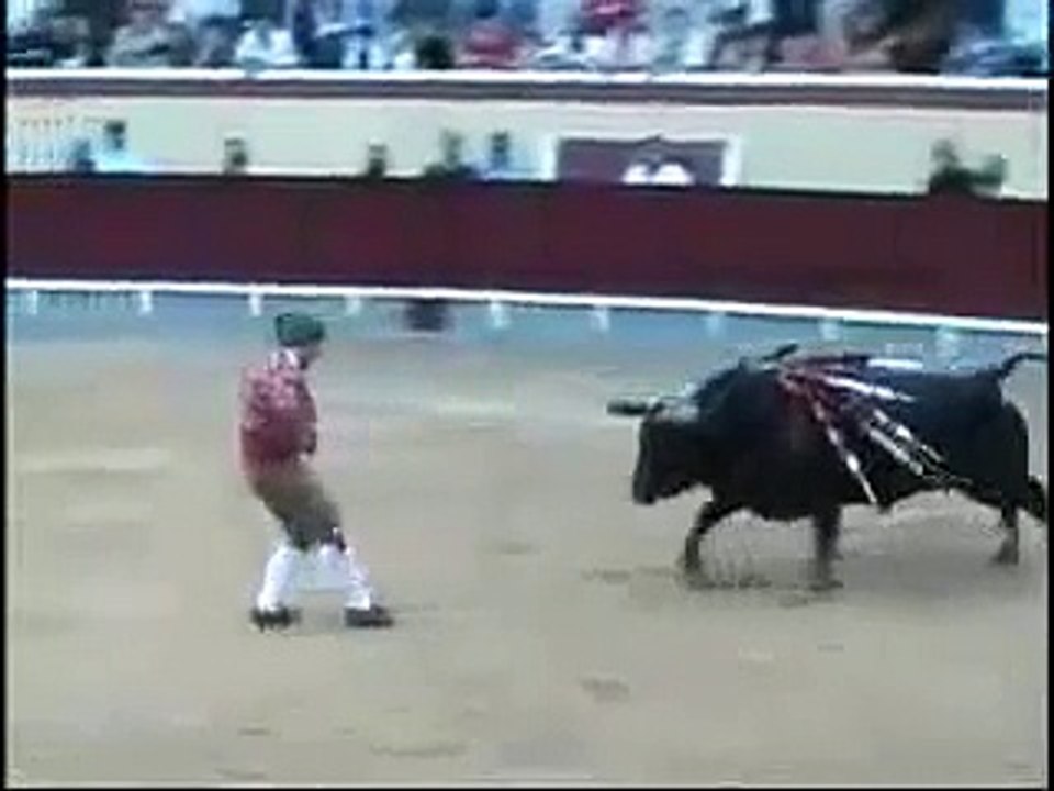 Boll fight