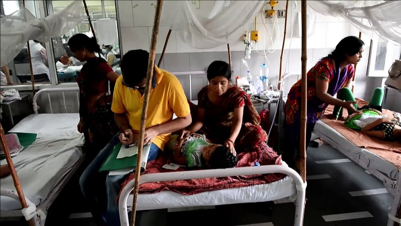 Delhi hospitals treat worst dengue outbreak in...