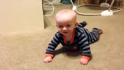 Пес показывает малышу как надо ползать!