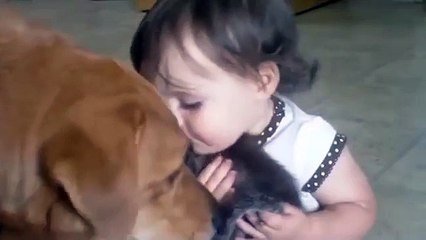 Собака, котенок и ребенок!!