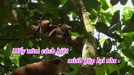 Đừng Nhắc Chuyện Đau Lòng - Văn Phú-Thanh Son HD (Full Beat)