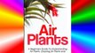 Best DonwloadAir Plants: A Beginners Guide To Understanding Air Plants Growing Air Plants and