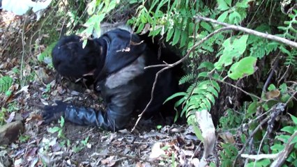 Final Fantasy XV - Location Hunting