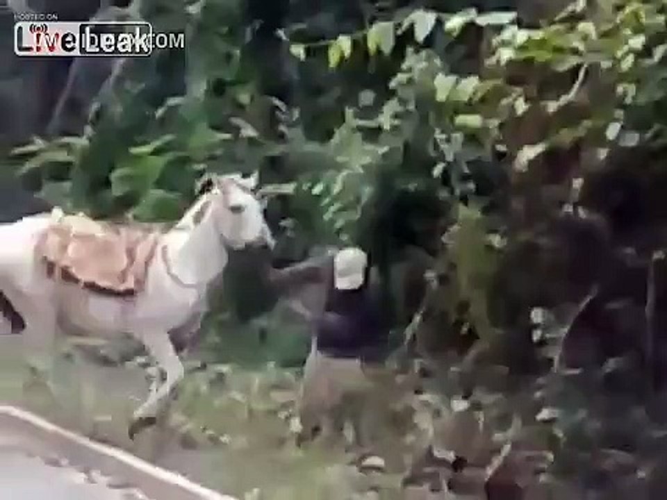 Third World DUI (Where's A Cop When You Need One)