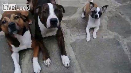 What's Yours is Mine