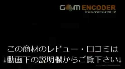 29 たった二つの集客法で爆発的に報酬を生み出す新手法「Wインパクトシステム」～8ゲイツ2.0～ リボ払いコース