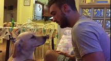 Cute dog asks for forgiveness to his master