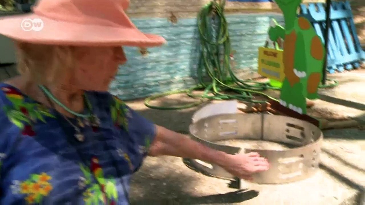 Ein Herz für Schildkröten | Fokus Europa