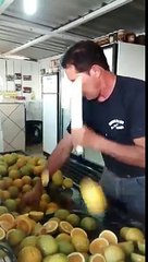 Real Life Fruit Ninja - VideosMunch