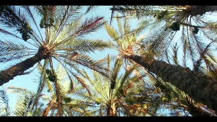 الفيديو الترويجي للسياحة التونسية المتحصل على المرتبة الأولى