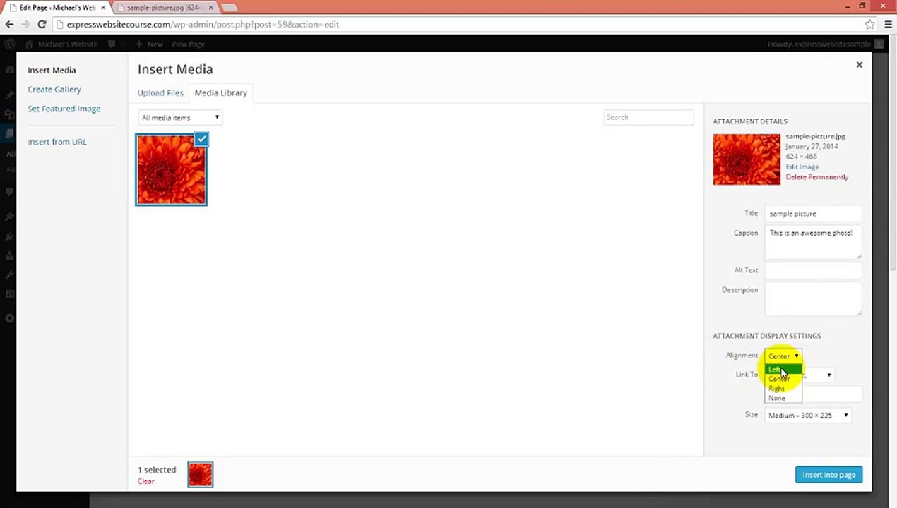 Add Media To Your WordPress Website
