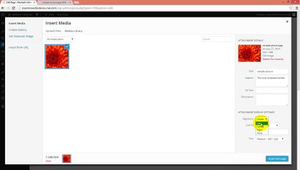 Add Media To Your WordPress Website