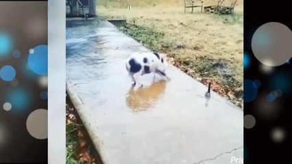 Нарезка приколов №9 -смешные падения/ The funny fall