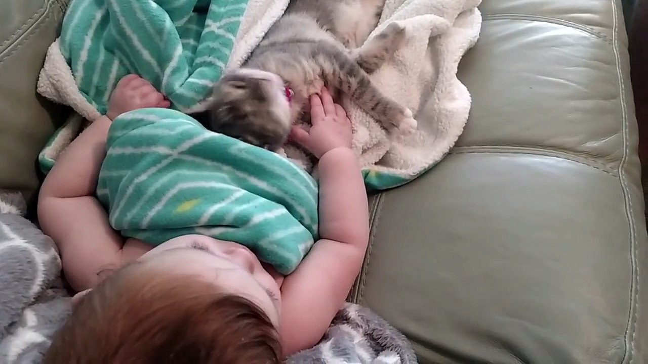 Cutest Video Ever - Must Watch