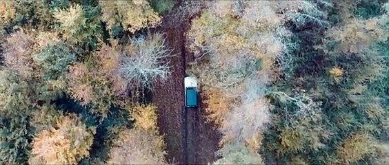 ANTHOPHOBIA - Short Film -entertaiment