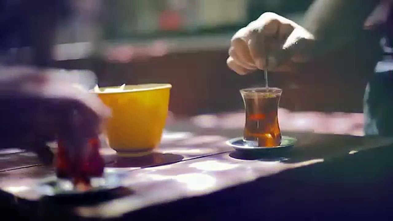 Kurtlar Vadisi Pusu On Üçüncü Sezon