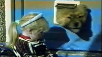 Kyoot Animals - Dogs And Doors
