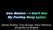 Iron Maiden – I Can't See My Feeling Song Lyrics