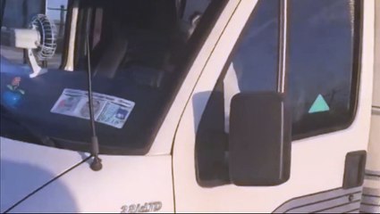 Impatient dog beeps caravan horn