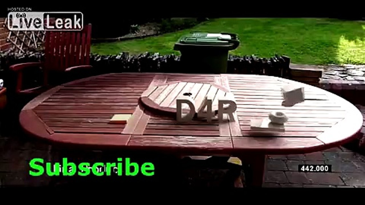 Student Goes Ape Shit on Sidewalk Preacher