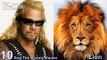 13 Animals That Look Like Celebrities