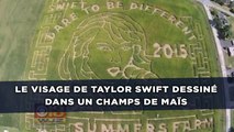 Le visage de Taylor Swift dessiné dans un champs de maïs
