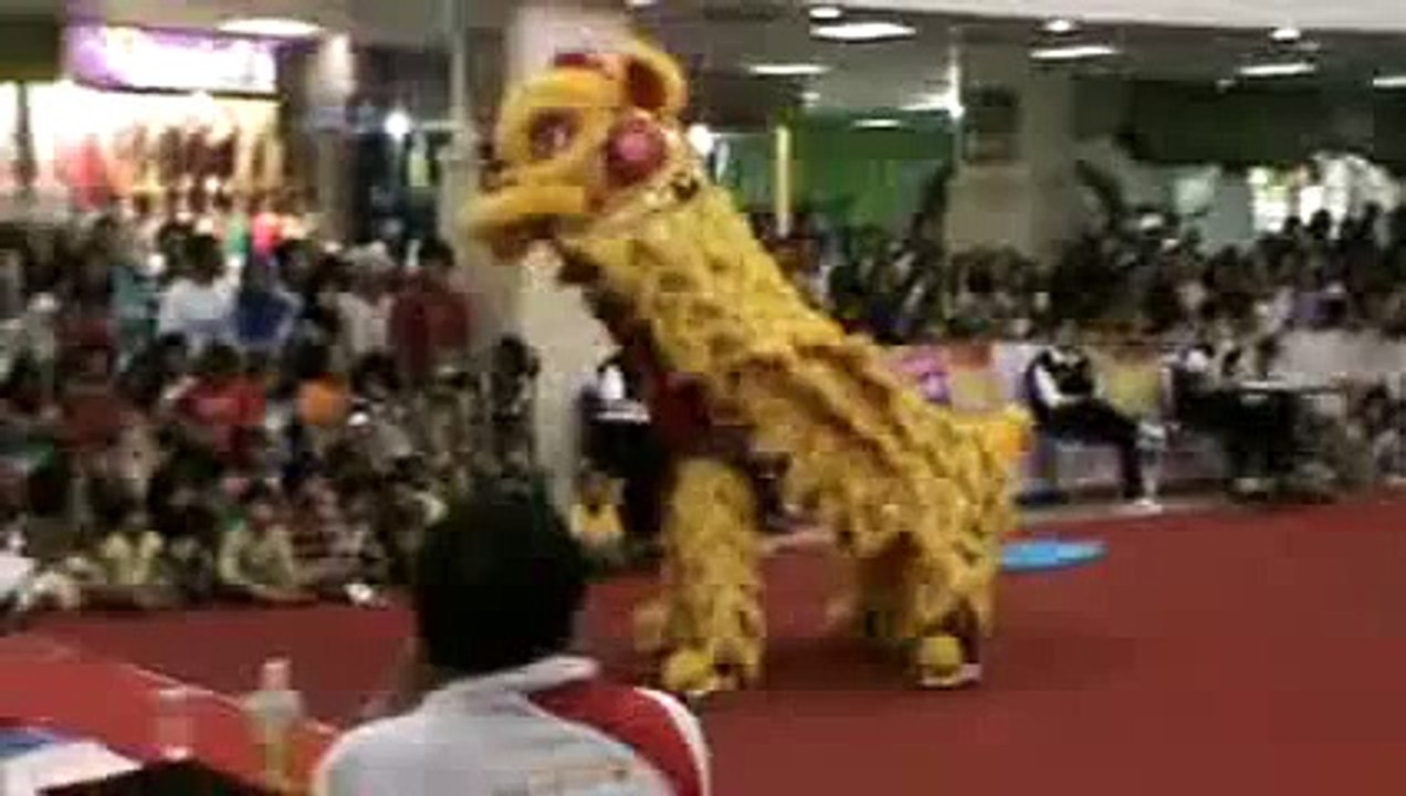 Amazing Yellow Lion Dance Performance