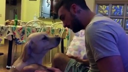 Adorable Moment A Guilty pet gives its owner a hug and whimpers after it gets a telling off
