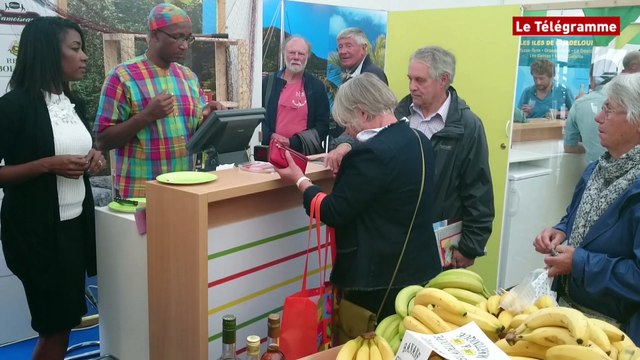 Douarnenez. Effervescence sur les pontons de la Mini Transat