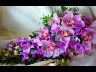 AYŞEN BİRGÖR-HER MEVSİM