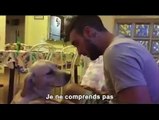 Ce chien essaye de se faire pardonner d'une manière trop mignonne !