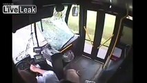 Deer crashes into bus and gets on, off city bus