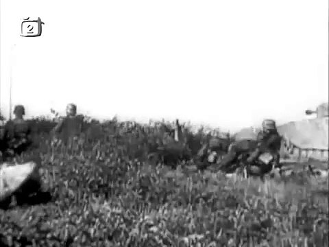 WWII German forces in Action - Wehrmacht Heer , Waffen SS , Luftwaffe