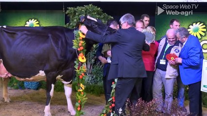 Cendrillon, devient la princesse des Holsteins au Space 2015 !