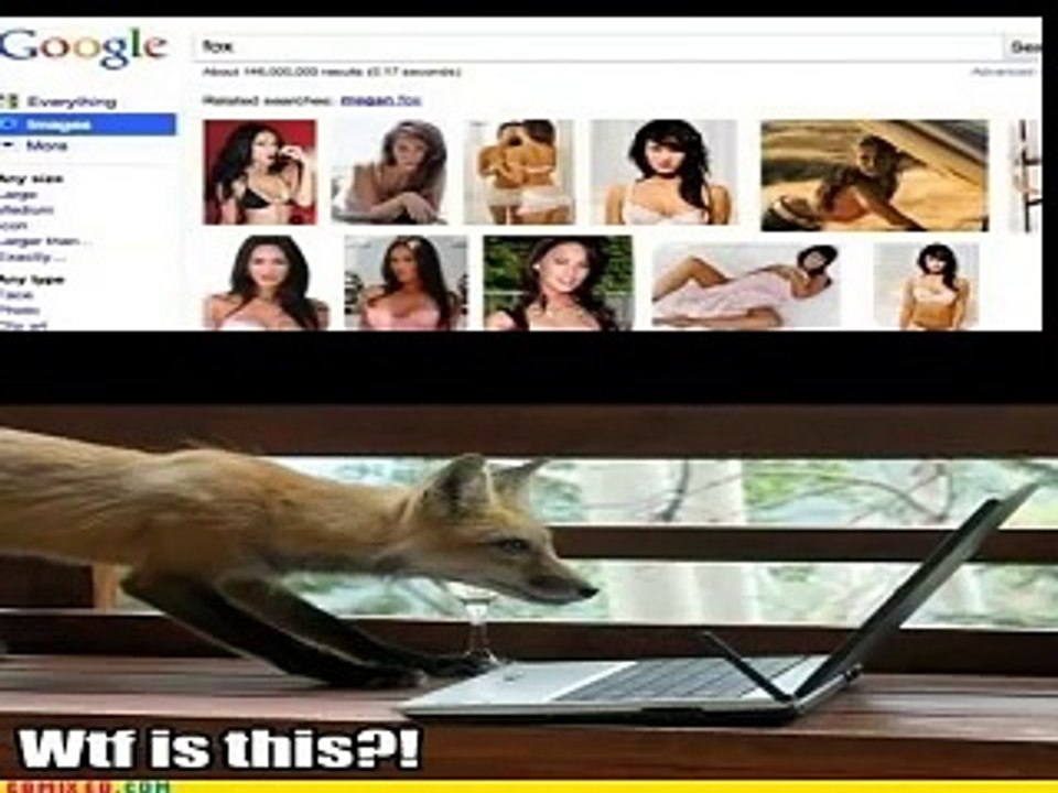 funny pictures hahaha