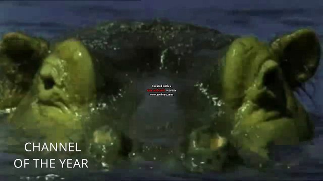 R4 One ident - Hippos (Channel of The Year ident) (HD)