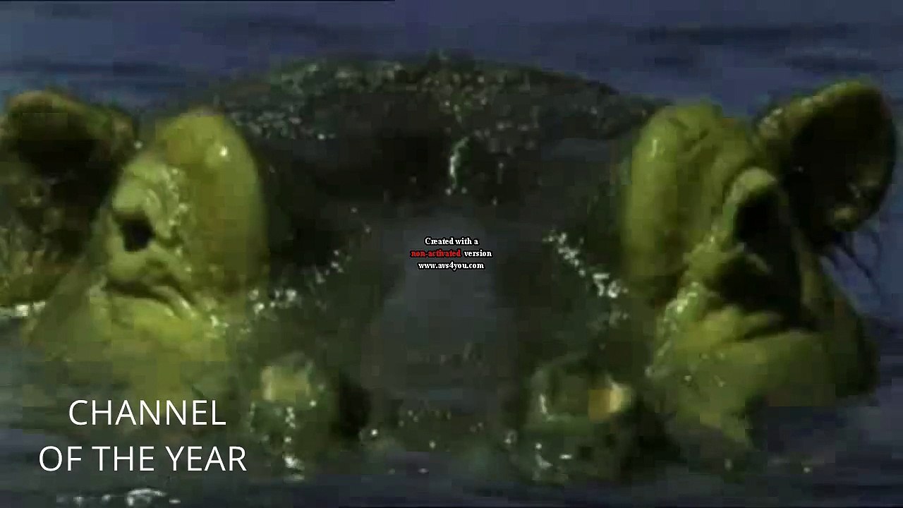 R4 One ident - Hippos (Channel of The Year ident) (HD)