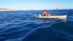 Dramatic video captured a hammerhead shark acting aggressively toward a kayaker