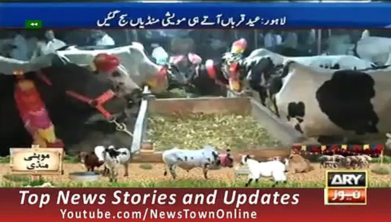 News Headlines 17 September 2015 ARY, Geo Lahore Cattle Market Report