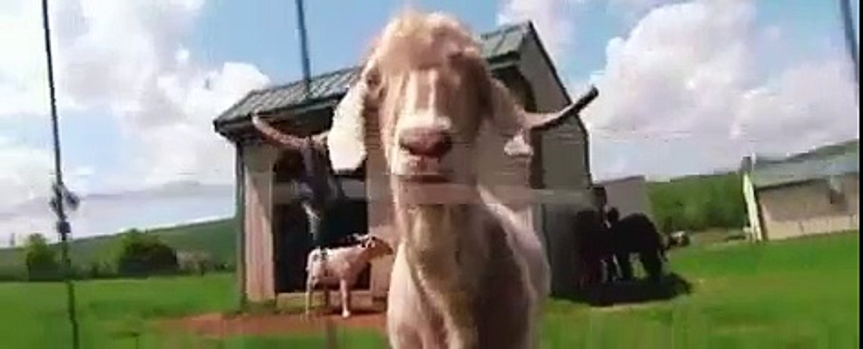 Kitchen Nightmares USA S04E03 Revisited No 4