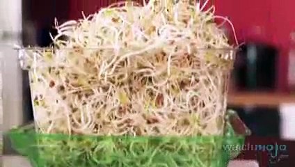 Top 10 Healthiest Vegetables