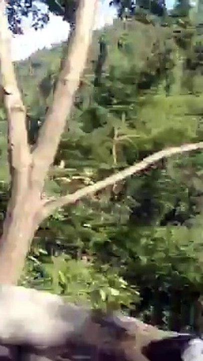 enjoy murree road13 jun 2015