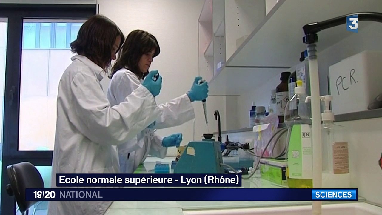 Les spermatozoïdes in vitro, peut-être un futur...